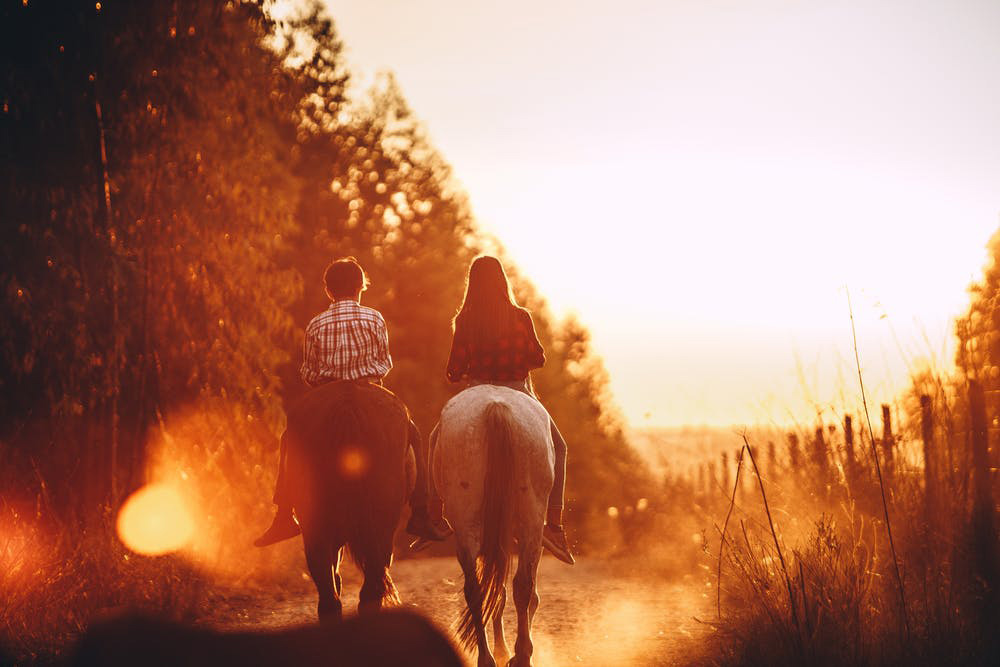 Paseos a Caballo